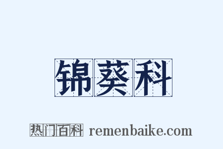 锦葵科是什么意思的图片